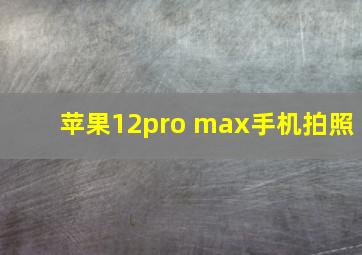 苹果12pro max手机拍照